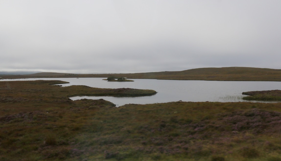 A bit larger lake