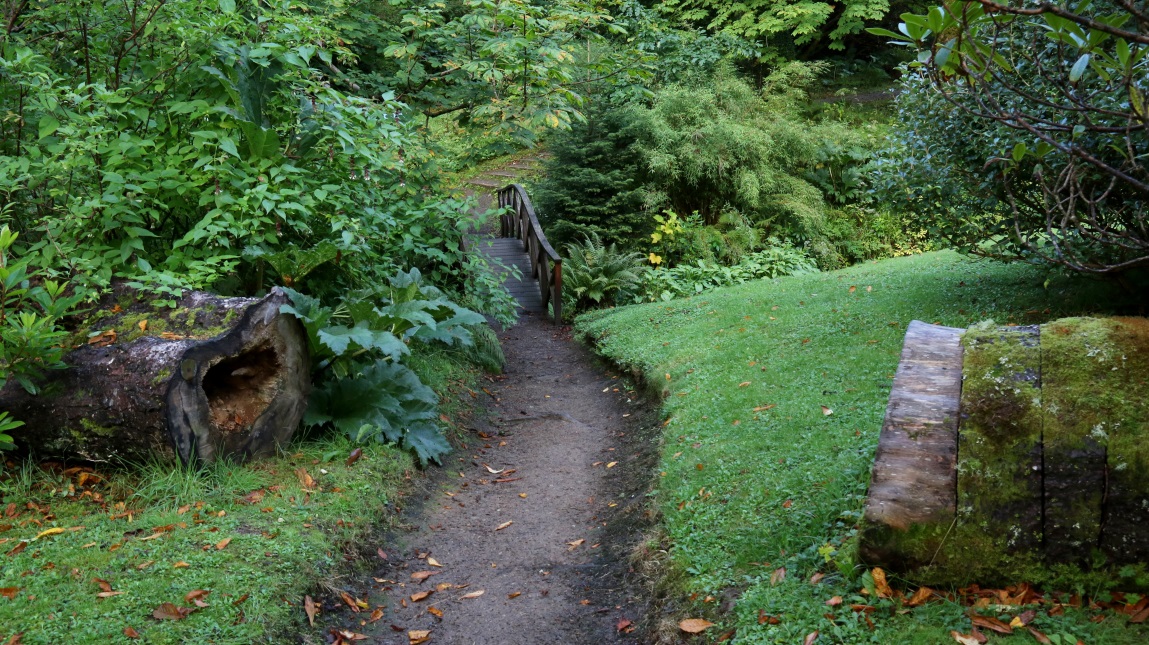 Exploring one of the walking trails