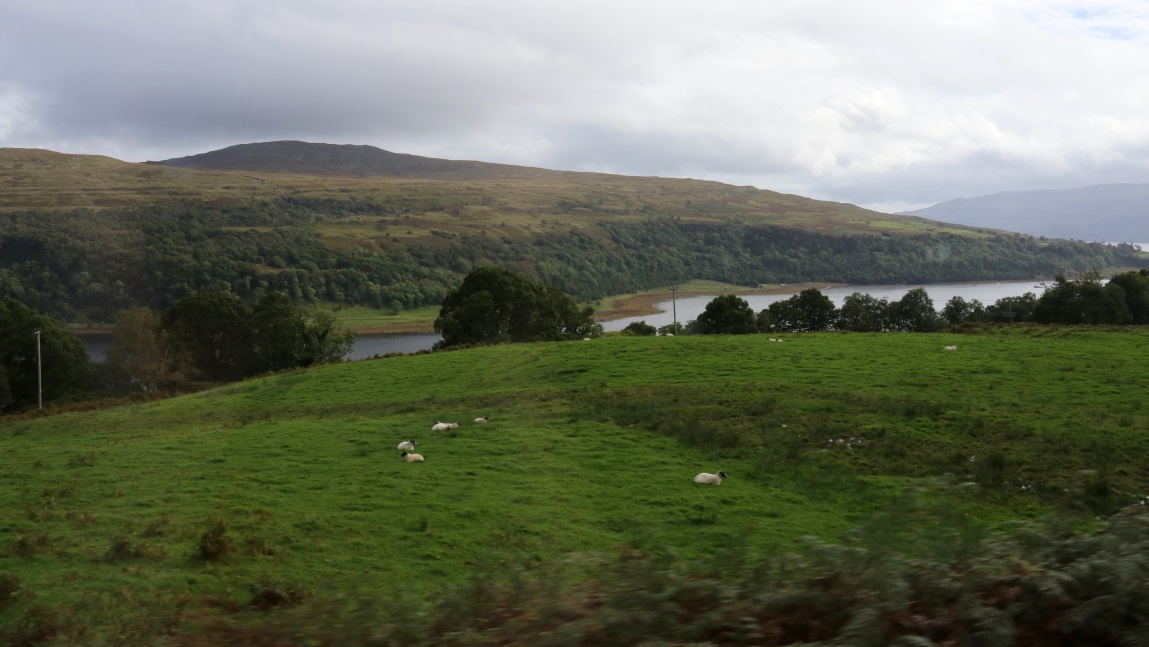 Loch Aline from Morvern