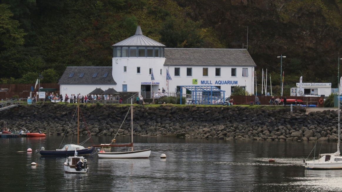 Mull Aquarium