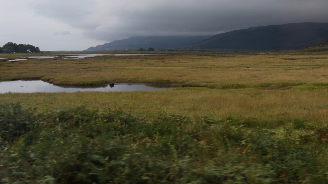 Loch Beg is more of a swamp