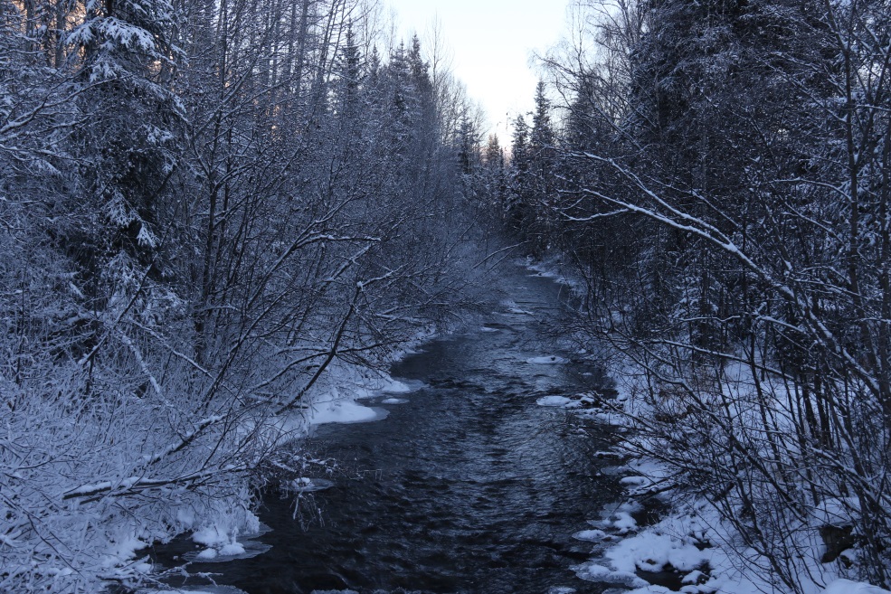 Monument Creek looking East