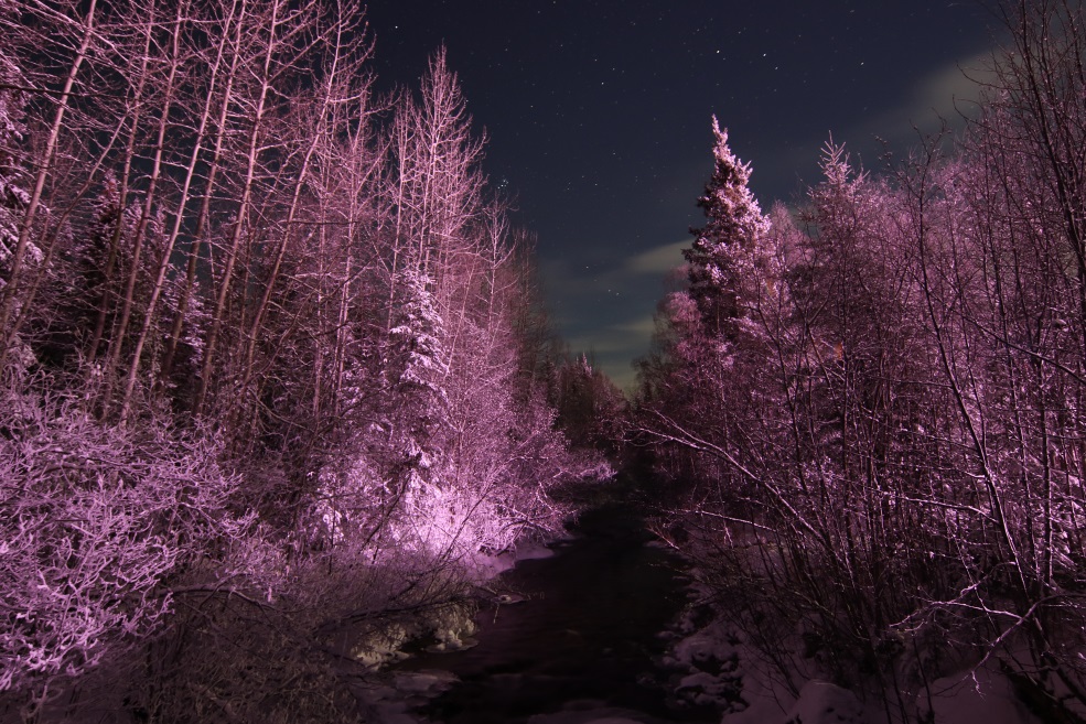 Monument Creek looking East