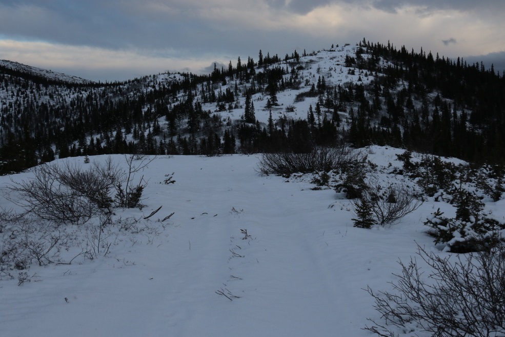 No tracks in the snow