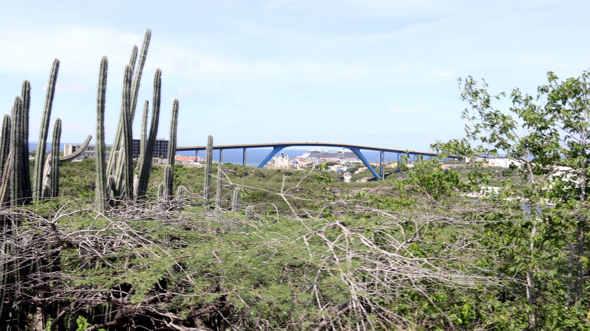 Looking Southwest toward the car bridge