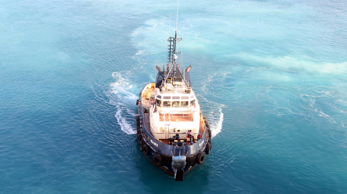 Tug boat coming to escort us