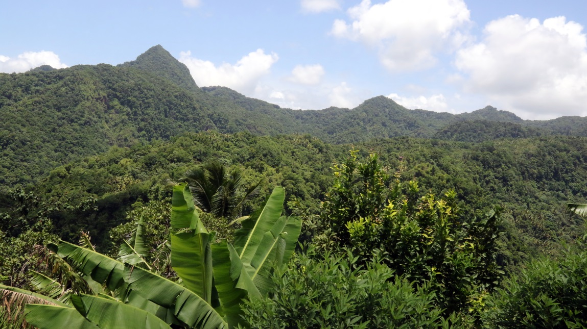 View from two miles