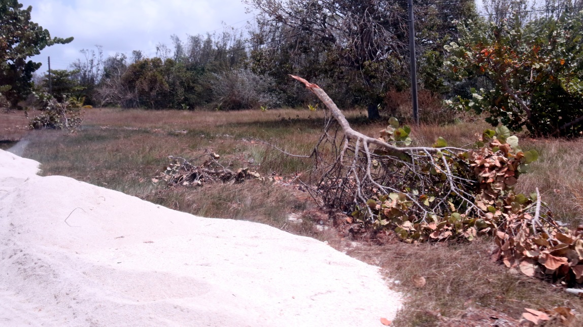 Reminders of the recent hurricane Irma