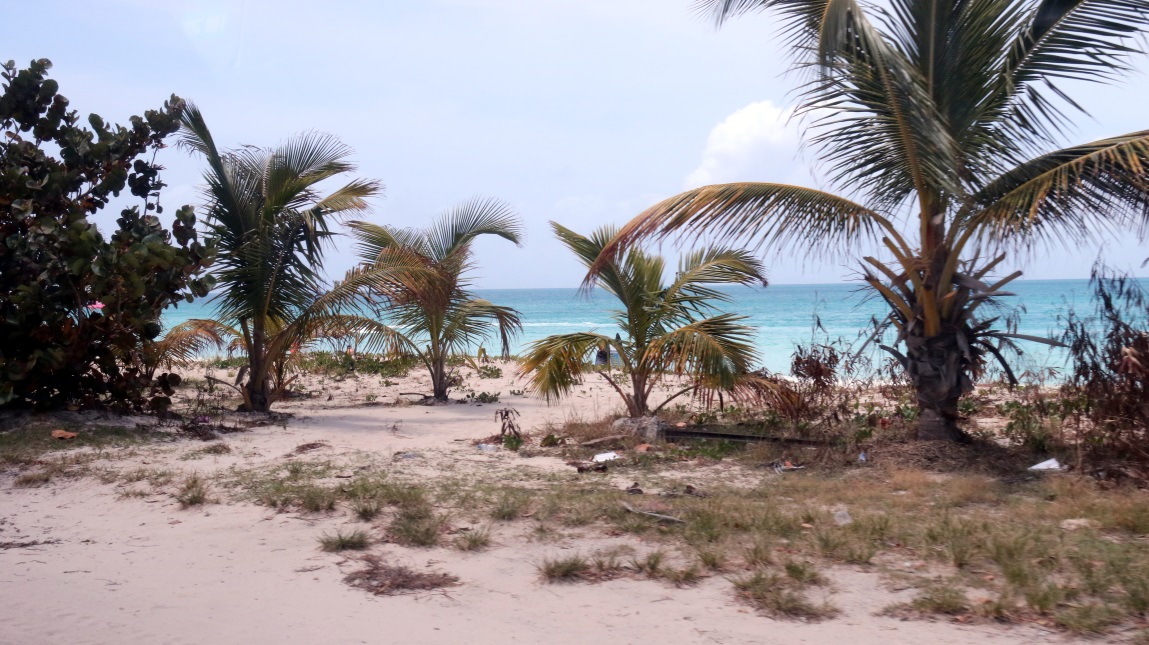 Darkwood Beach