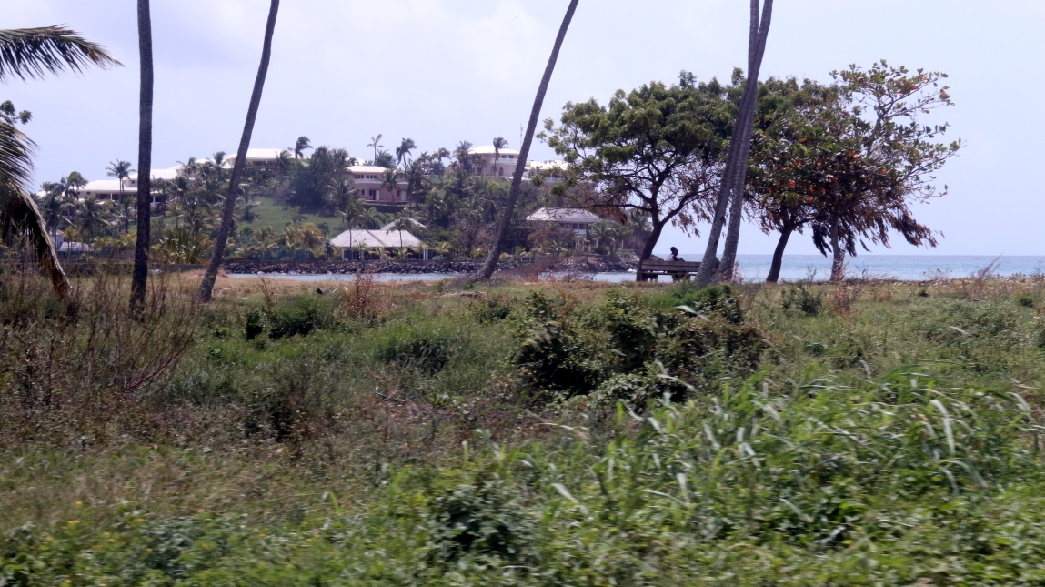Morris Bay