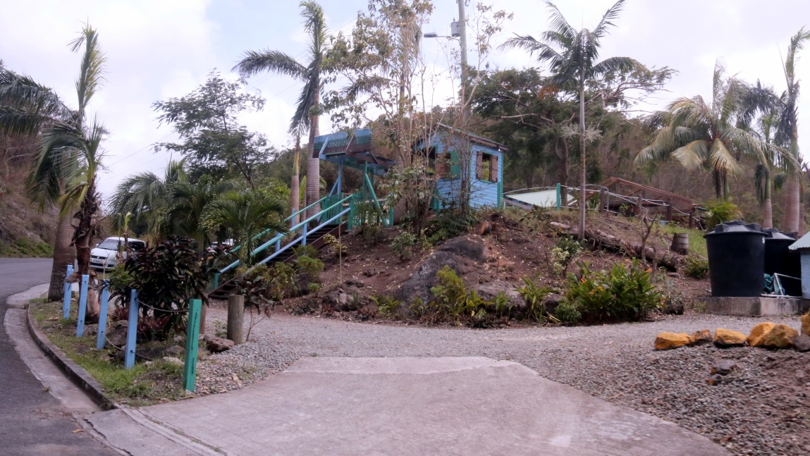 Antigua Rain Forest Canopy Tour