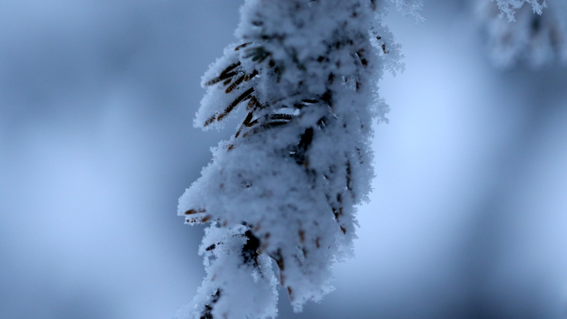 Macro