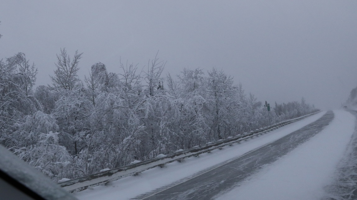 South toward Nenana