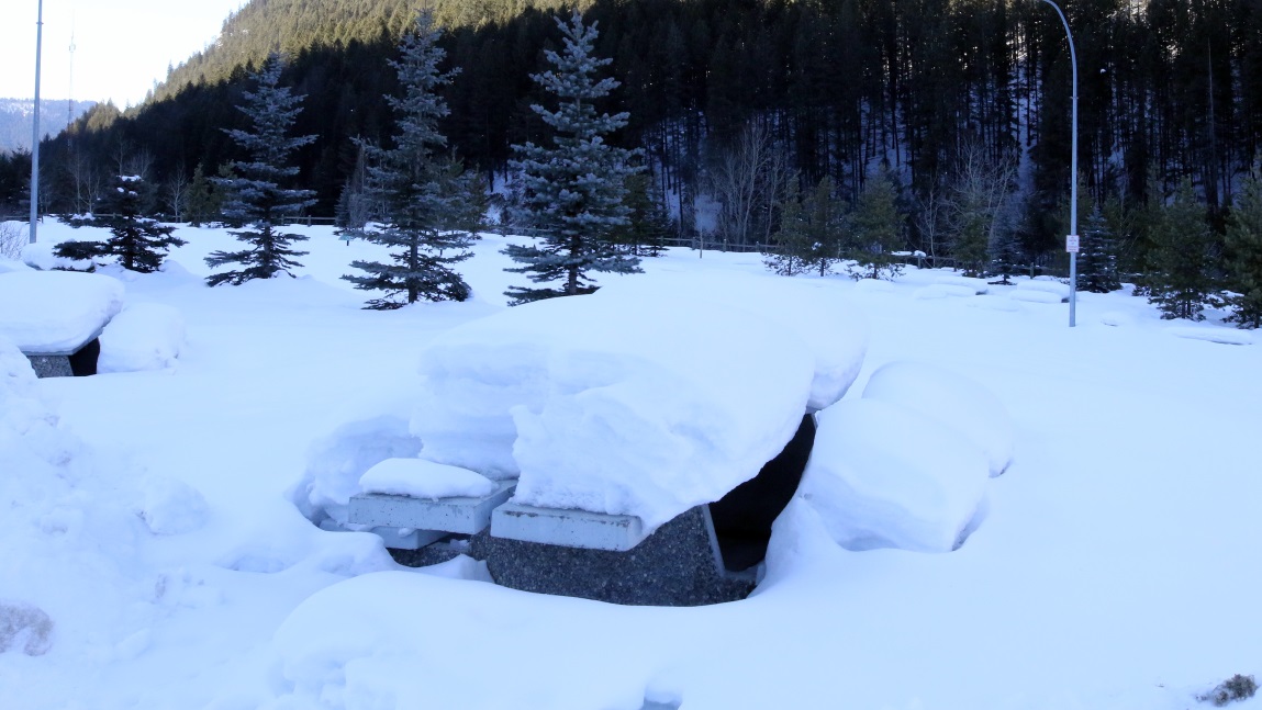 Rest area seven miles East of Golden BC