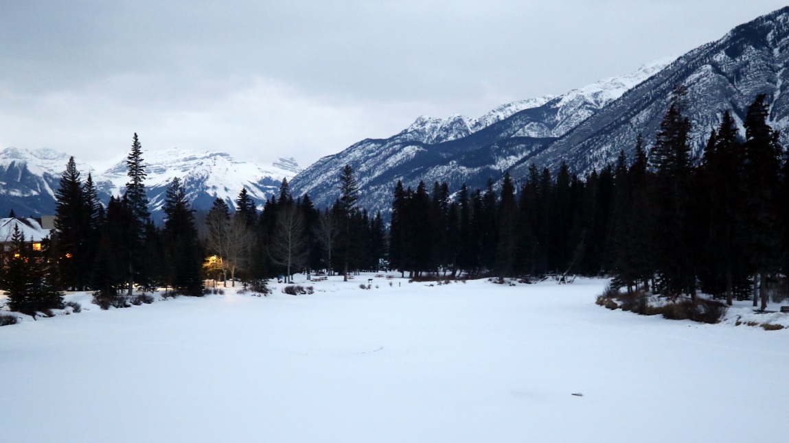 The frozen Bow River