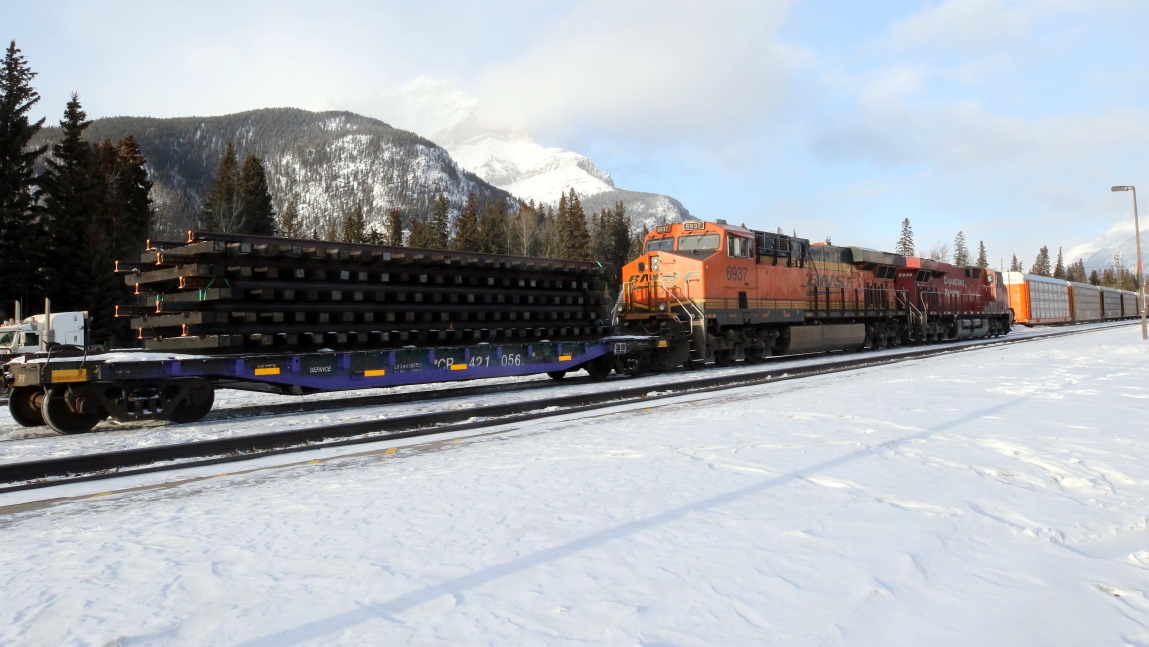 Assorted trains at the Banff train station