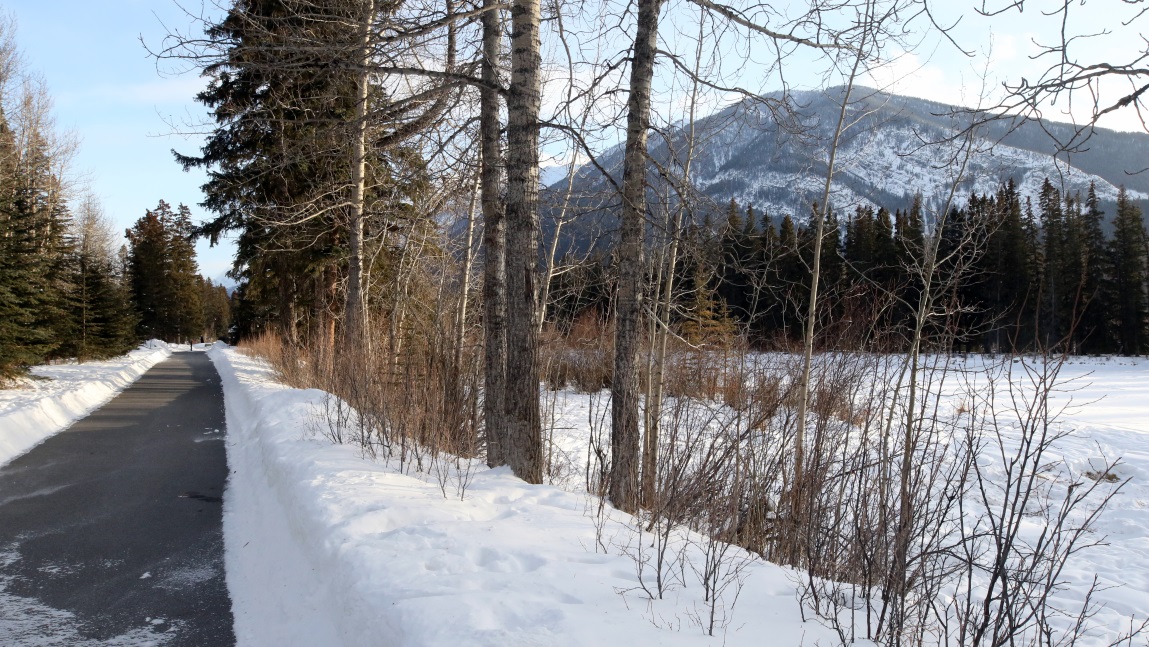Walking trail next to the Bow River