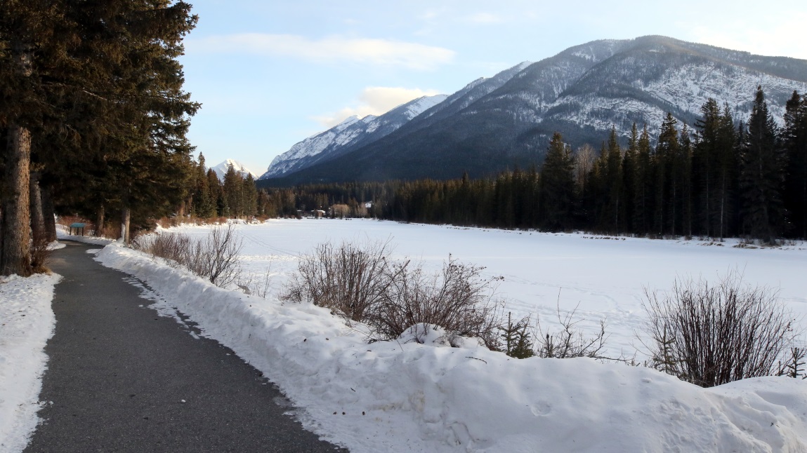 Walking trail next to the Bow River