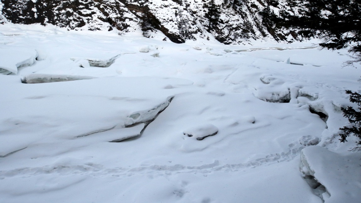 Bow River Falls is currently frozen