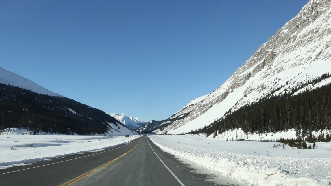 Heading North on Icefields Parkway at Columbia Icefields