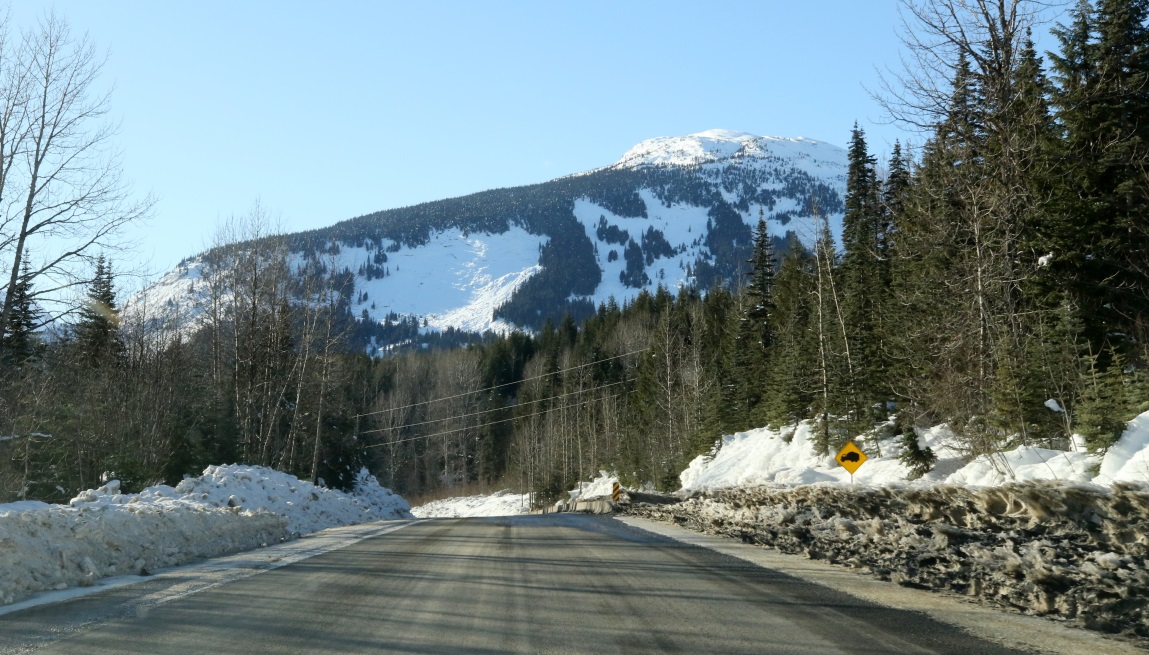 Seven miles West of Meziadin Junction