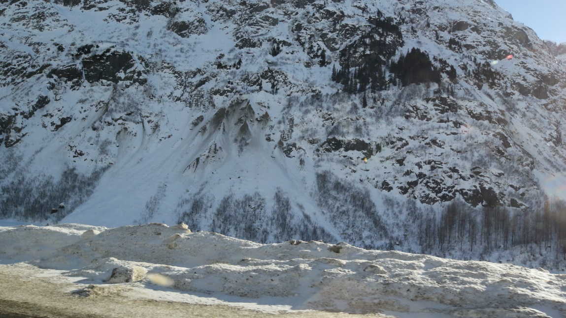 Avalanches on the lower slopes