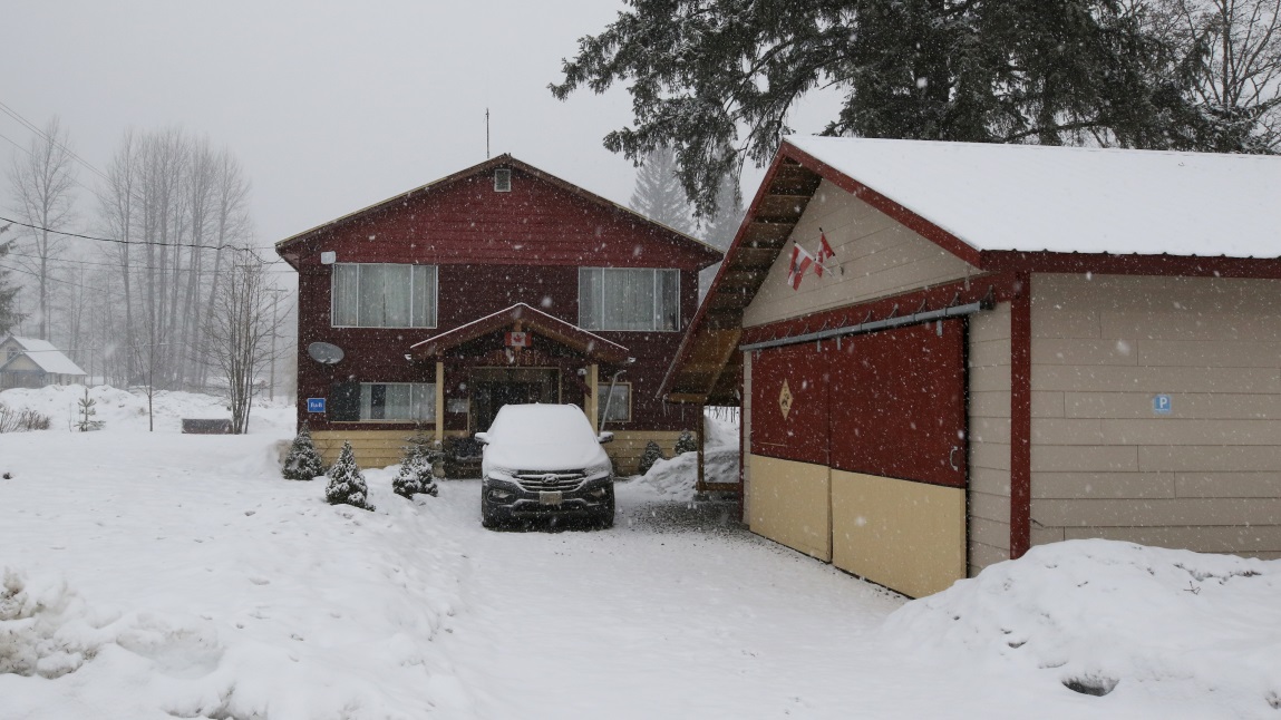 We woke up to steady snow