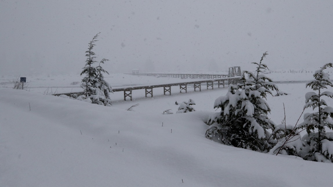 One end of the Stewart Estuary Boardwalk