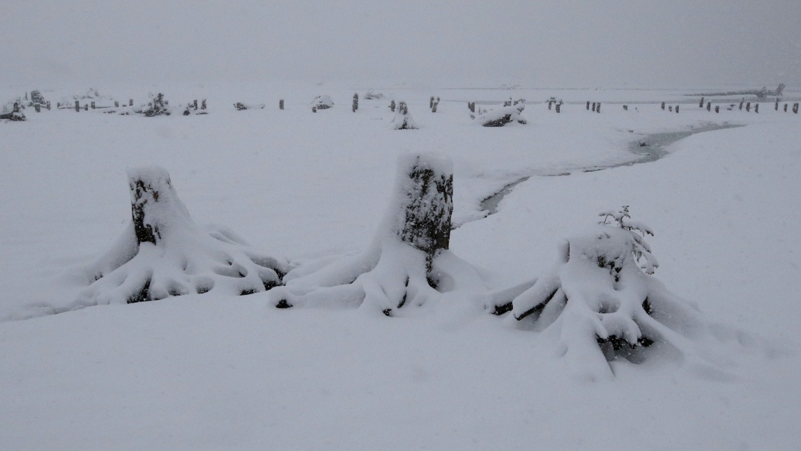 Walking on the Stewart Estuary Boardwalk