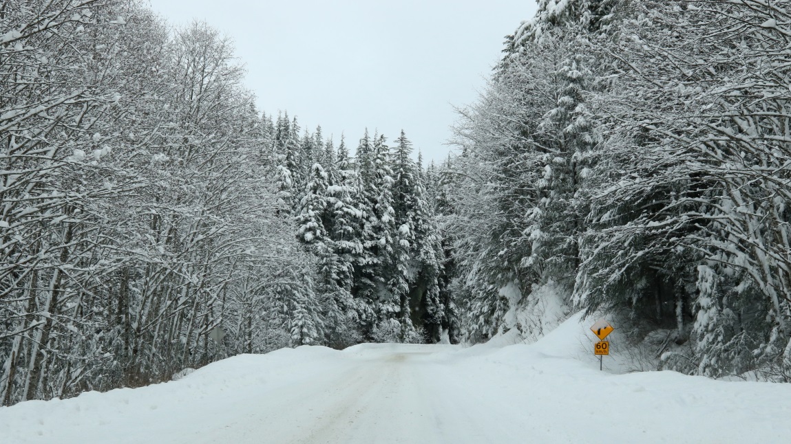 About nine miles North of Stewart