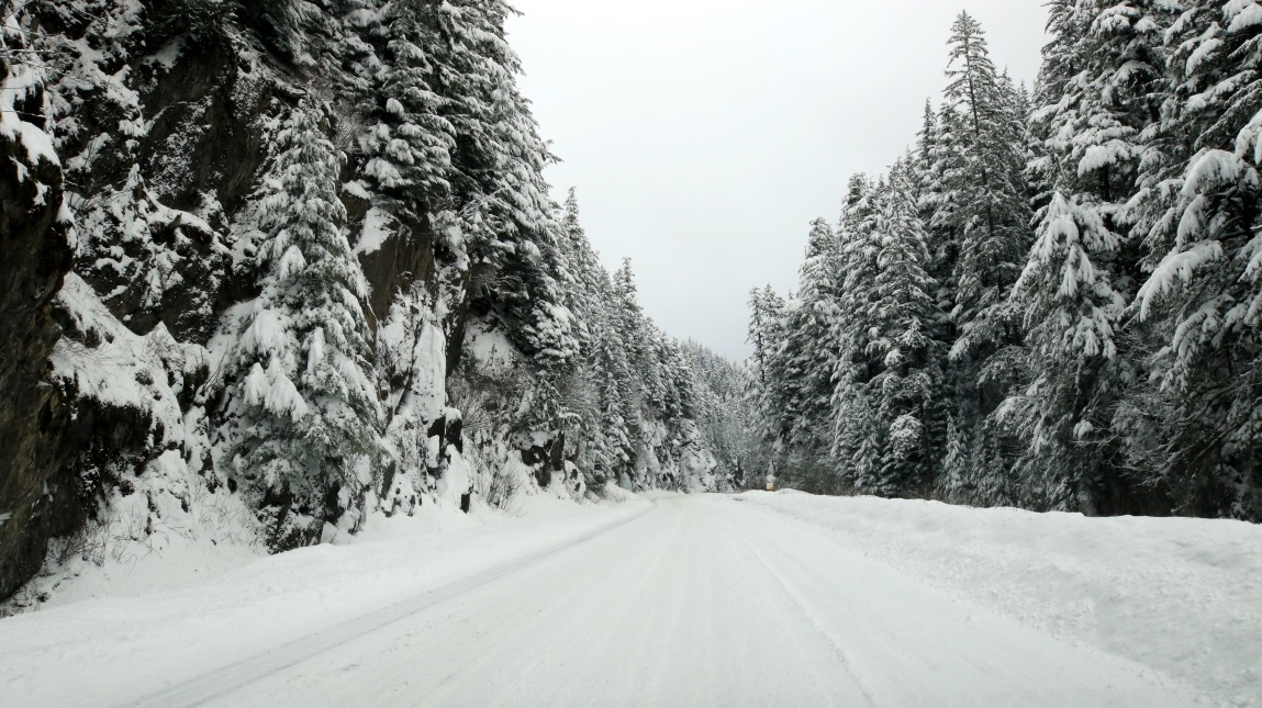 Fourteen miles North of Stewart