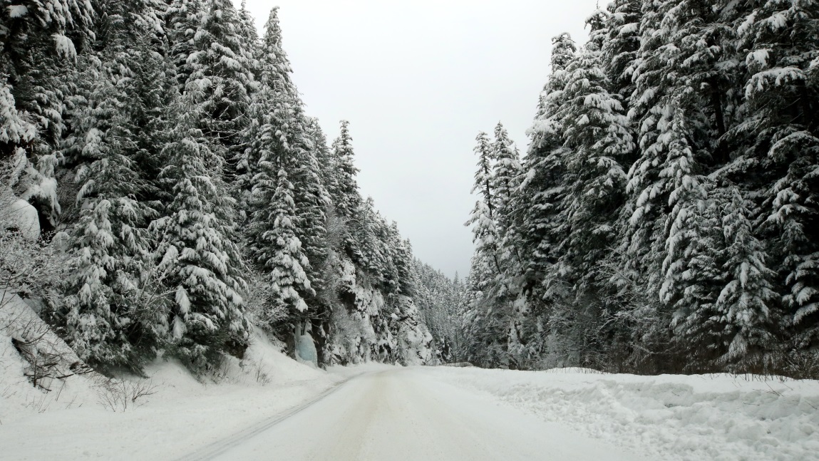 Fourteen miles North of Stewart