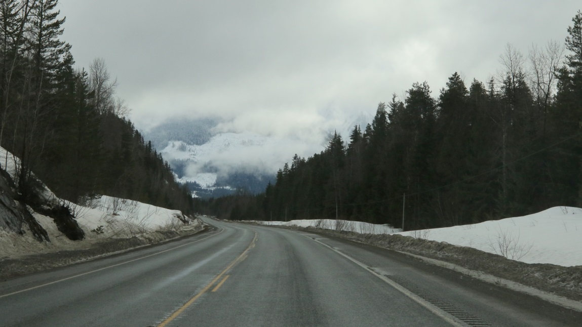Nine miles South of Cedarvale