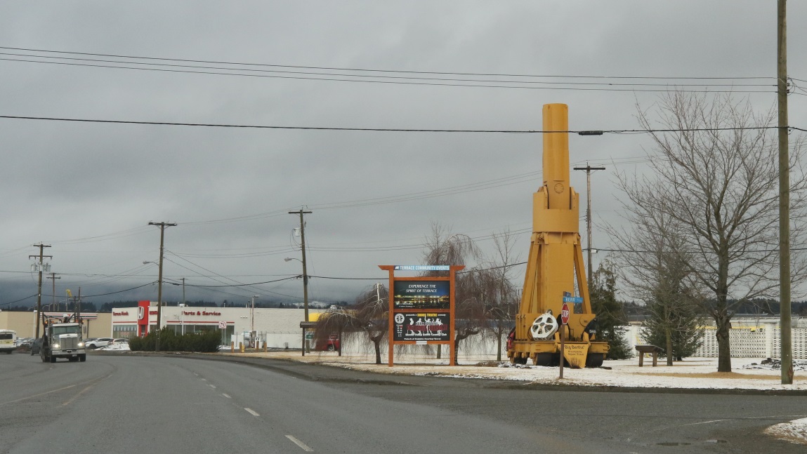large yellow spar tree