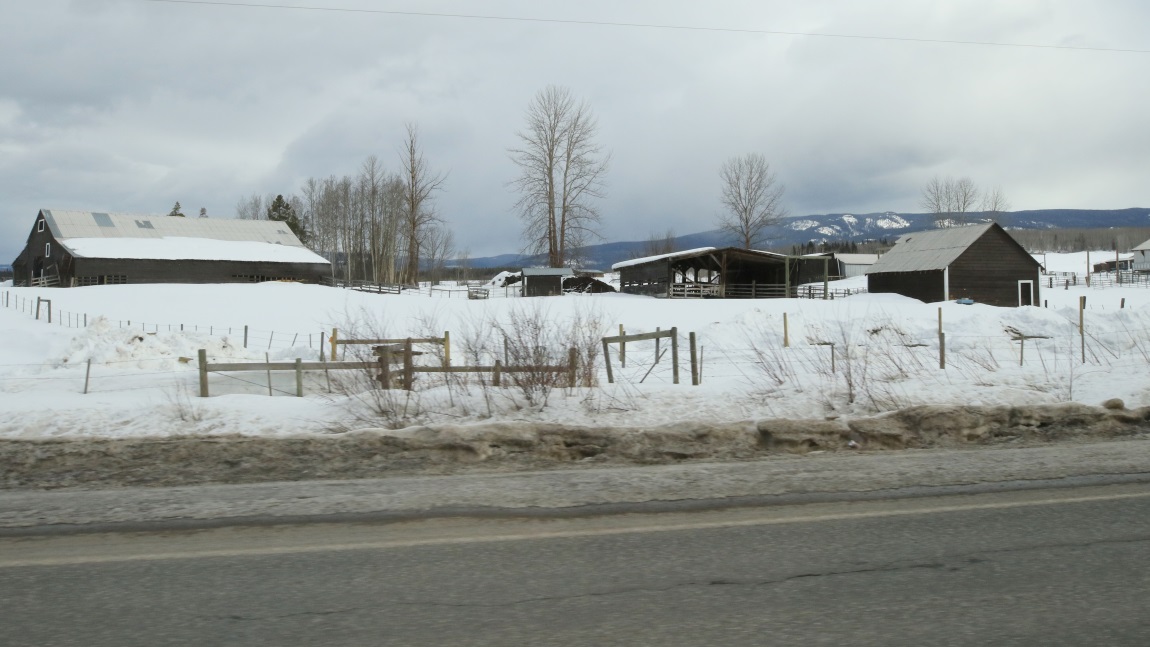 Farms seven miles North of Smithers
