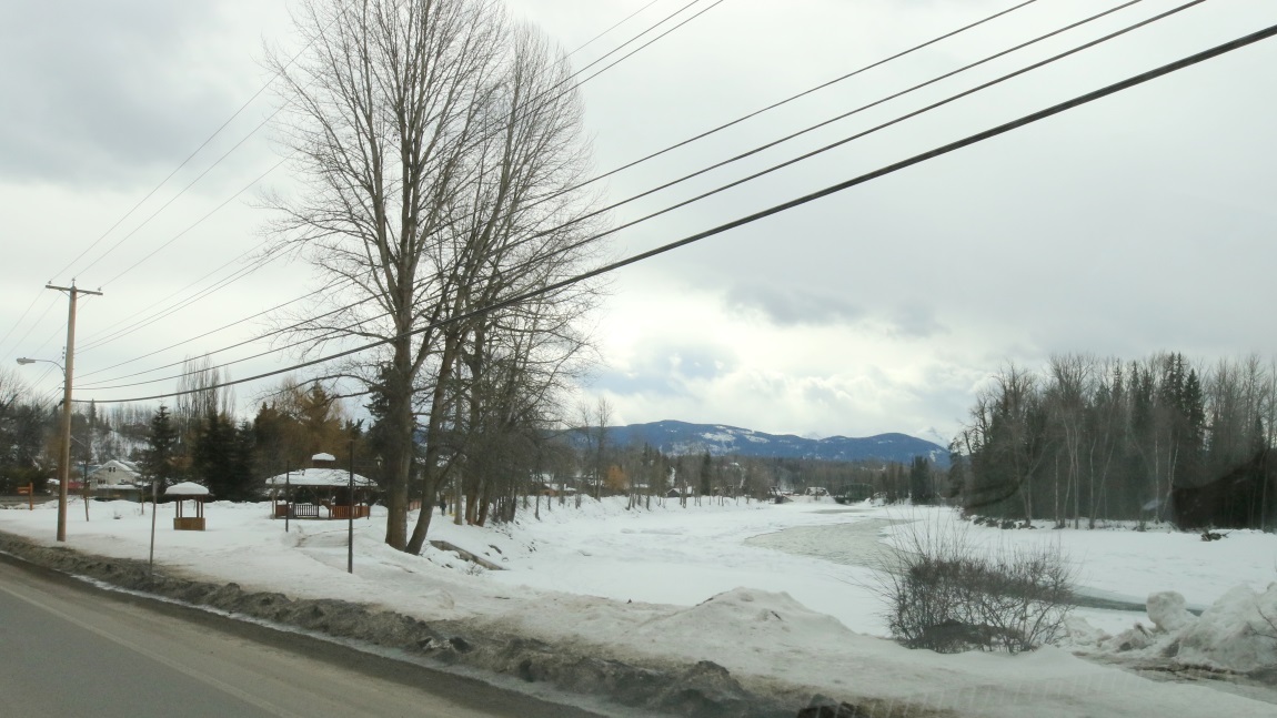 The Buckley River in Telkwa