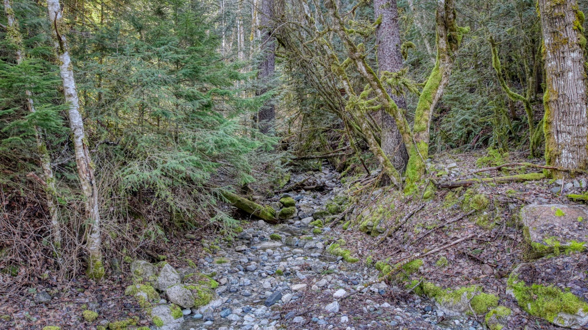 Colorful dried up stream bed