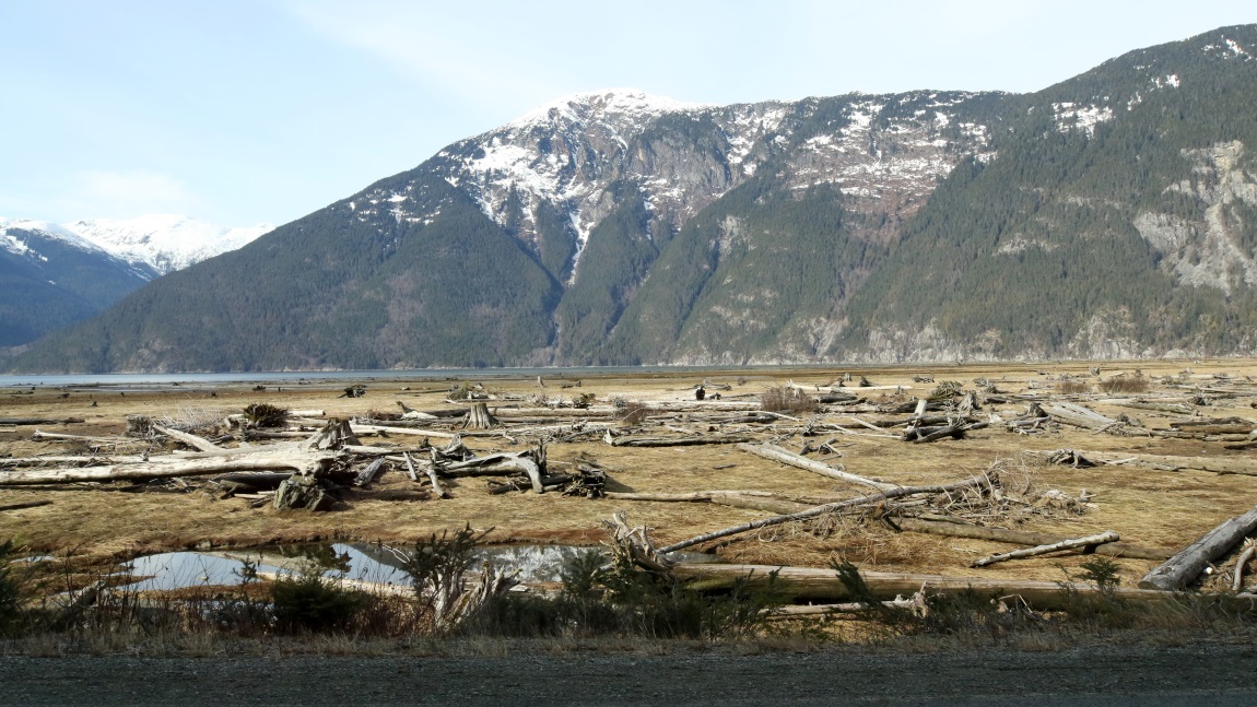 Bella Coola River delta