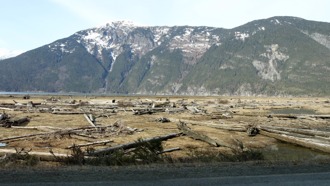 Bella Coola River delta