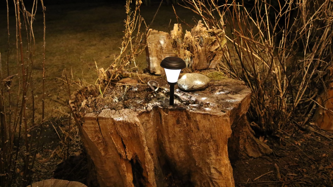 Night pictures at Bella Coola Mountain Lodge