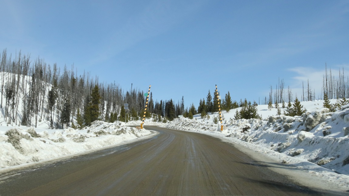 Road closure gates