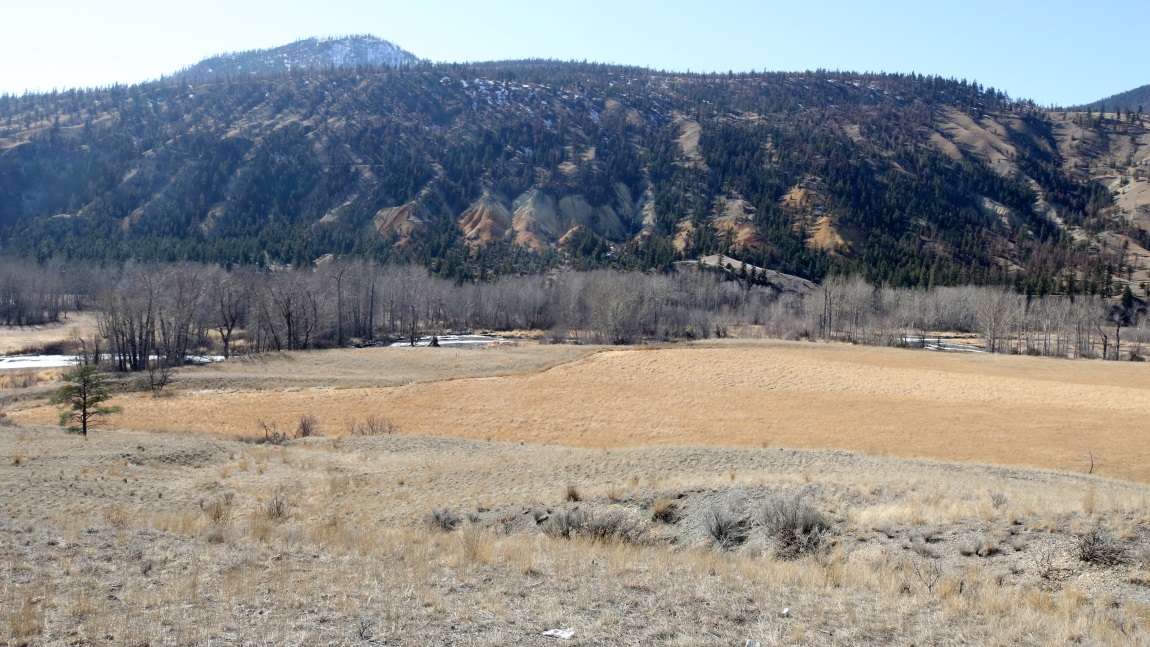 Fourteen miles North of Cache Creek