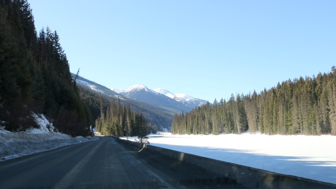 Northeast corner of Duffey Lake