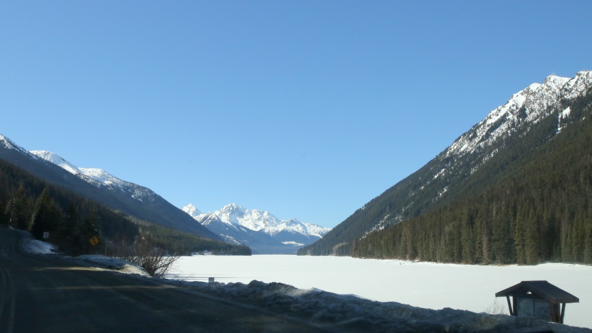 Northeast corner of Duffey Lake
