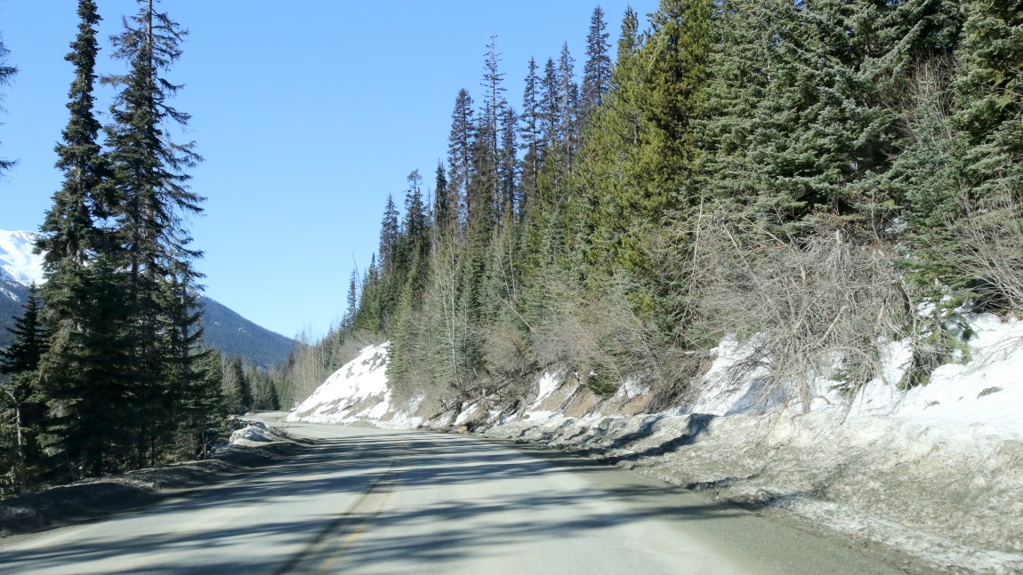 Seventeen miles Northeast of Mt. Currie