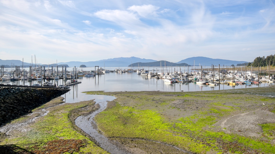 Auke Bay harbor