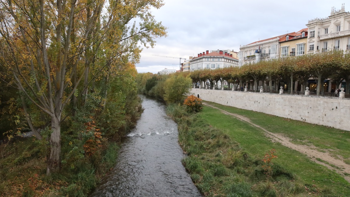 Rio Arlanzon