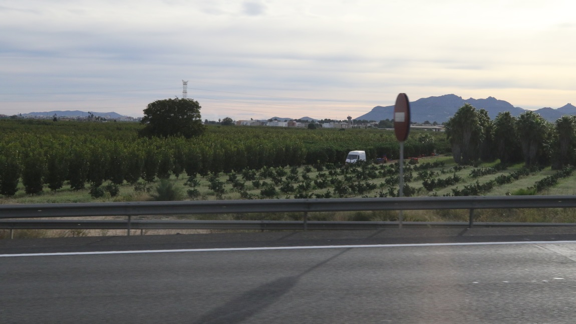 Farms near L'Alcdia