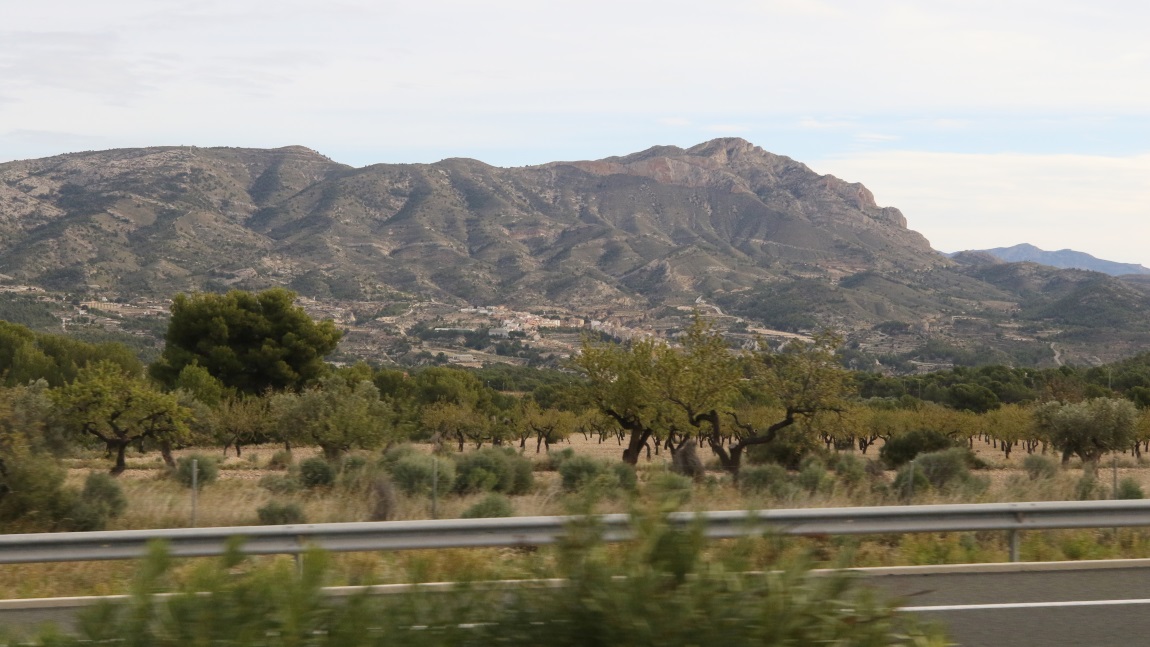 Pinares de Mecli
