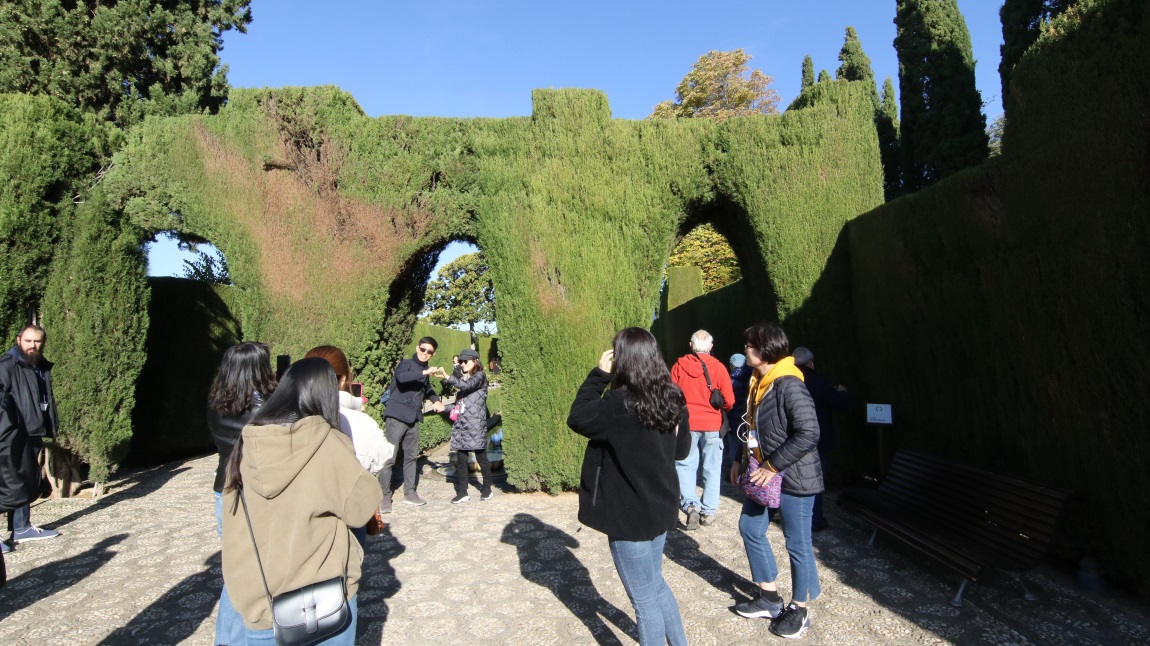 Promenade of the Cypress Trees